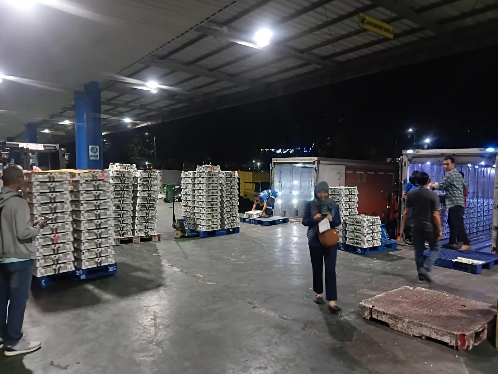Solusi Logistik Cepat dan Transparan di Tanjung Priok: Mengapa TNL Unggul dalam Jasa EMKL dan Export Import